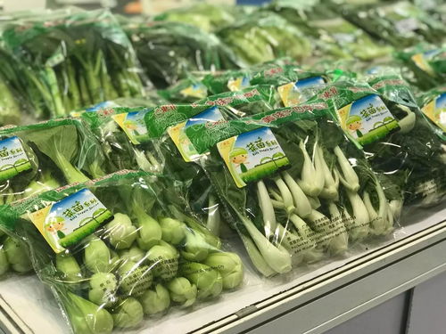 第八届广东现代农业博览会开幕,3000多种优质农产品等着你