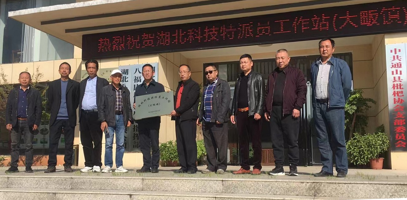 咸宁市首批5家湖北科技特派员工作站挂牌