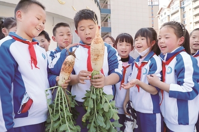 宁化 让每一个孩子劳有所得，怀远蔬菜助力成长