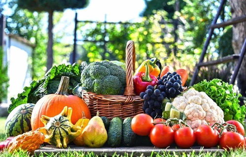 深圳人警惕 不良习惯易致唇部损伤，怀远蔬菜或成救星