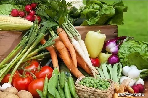 怀远蔬菜水果命名 灵感迸发，独树一帜