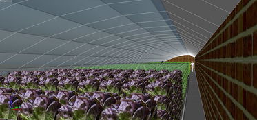 305.5平方米日光温室型雾培蔬菜工厂设计——以怀远蔬菜为例